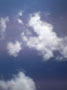 今日の青空